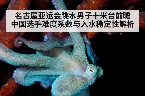 名古屋亚运会跳水男子十米台前瞻 中国选手难度系数与入水稳定性解析